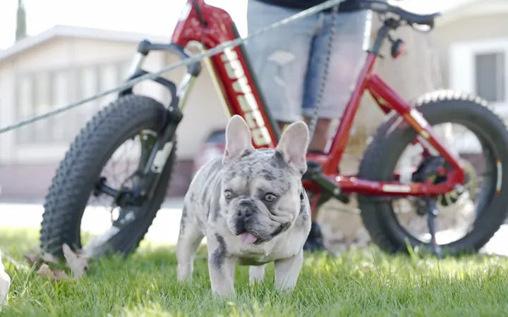 10 Reasons Why a Woman Should Consider An Electric Cruiser Bike HOVSCO