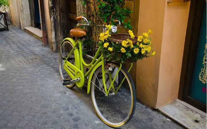 5 Reasons Why an Electric Bike is The Perfect Gift HOVSCO