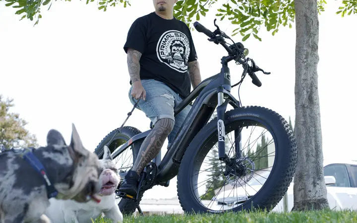 6 Things I Learned From My First Electric Mountain Bike HOVSCO