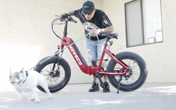 A Quick Guide To Electric Bike Pedal Assist: For A Smooth Ride HOVSCO