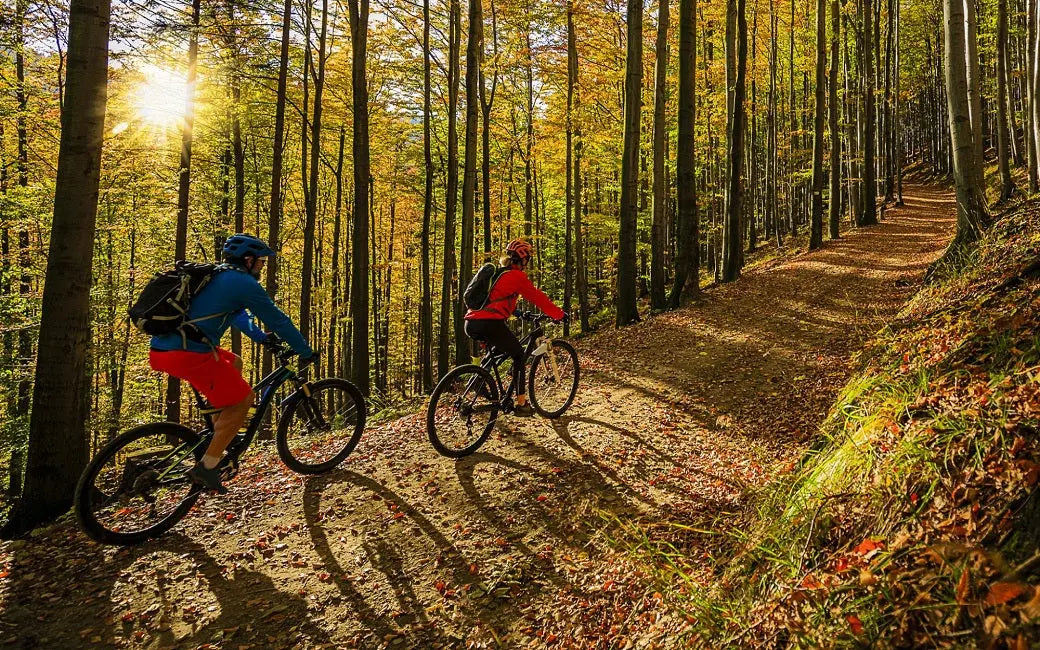 A Step-by-step Guide on How to Clean an Ebike HOVSCO