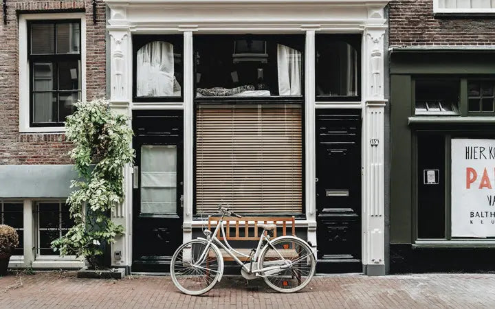 Are You Looking To Buy An Electric Bike For Your Disabled Loved One? HOVSCO