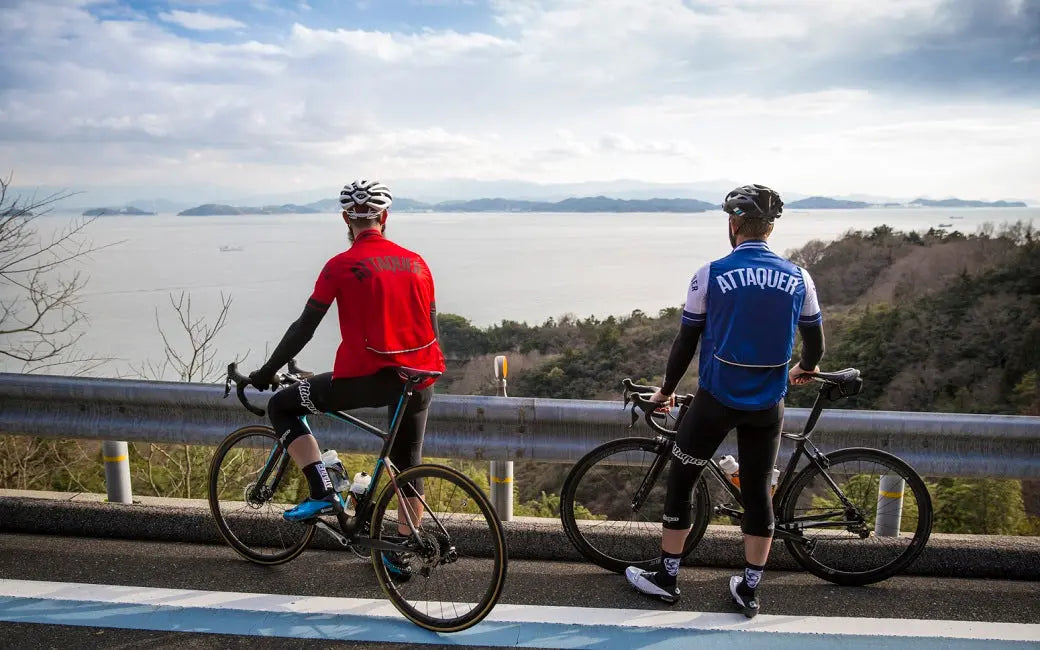 Are soaring fuel prices fueling the e-bike boom? HOVSCO