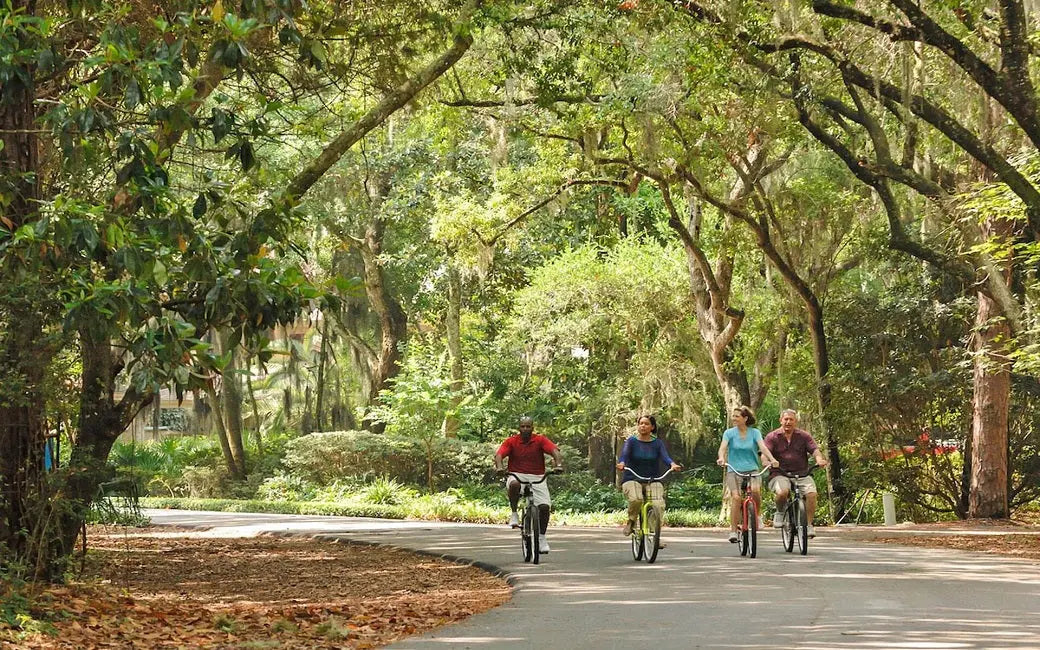 Can E-bike Batteries Have USB Charging Ports? HOVSCO