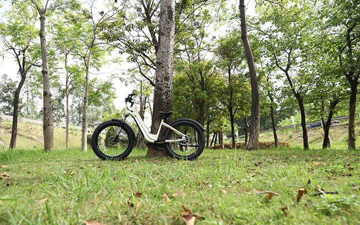 Can I Ride An Electric Bike After Drinking Alcohol HOVSCO