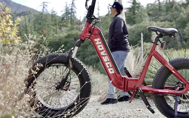 Denver E-Bike Rebates comes Back January 31: All You Need to Know HOVSCO