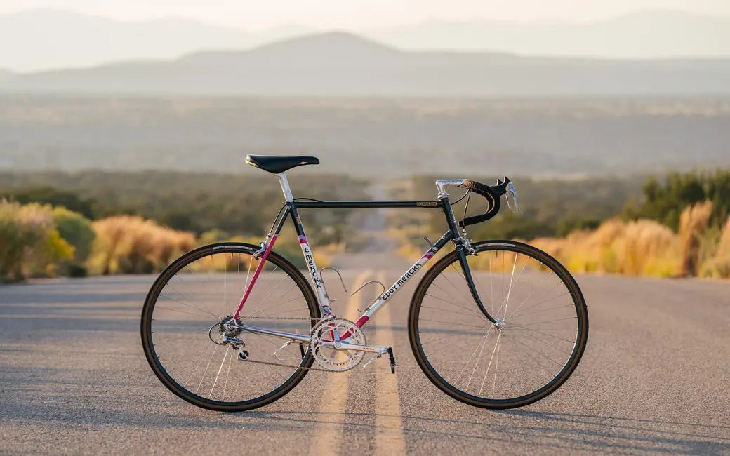 Denver's E-bike Rebates Make E-bikes Cheaper HOVSCO