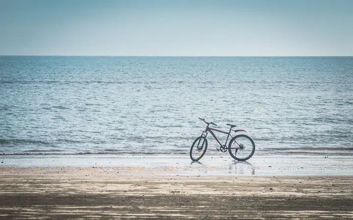 E-Bikes: The Complete Guide To Electrifying Your Daily Commute HOVSCO