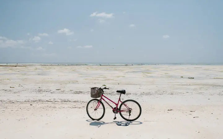 E-Biking for Seniors: 5 Surprising Benefits of Riding an Electric Bike HOVSCO