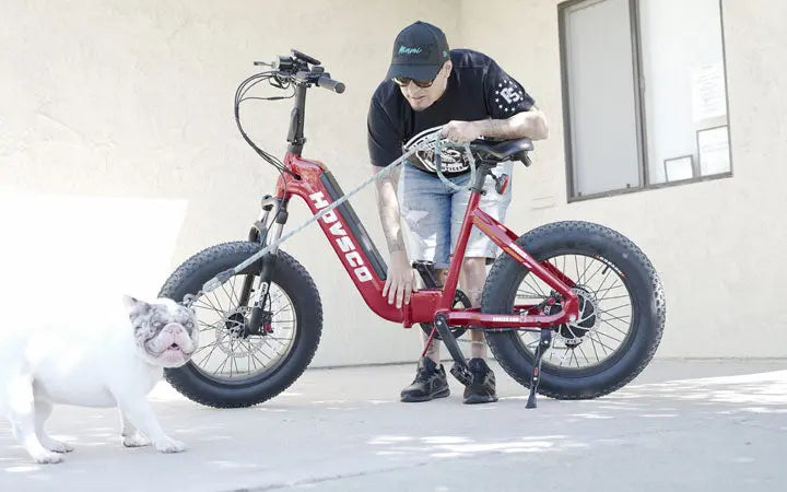 Electric Bike Battery FAQ - Battery Capacity, Charging & Other Factors HOVSCO