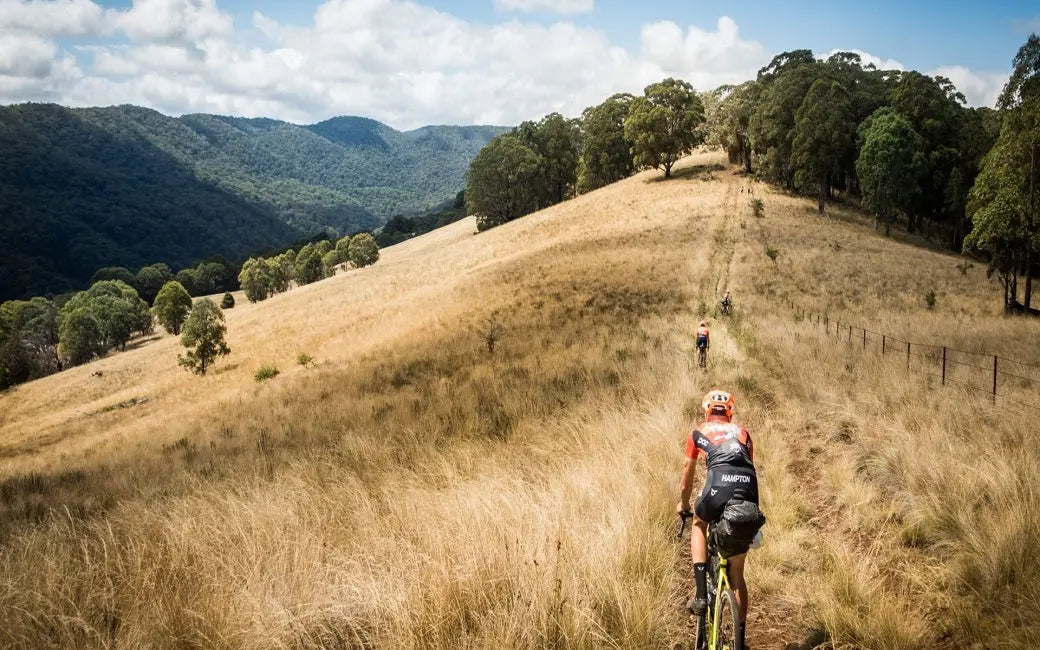 Electric Bike Review: HovBeta 20" Step-Thru Foldable Ebike HOVSCO