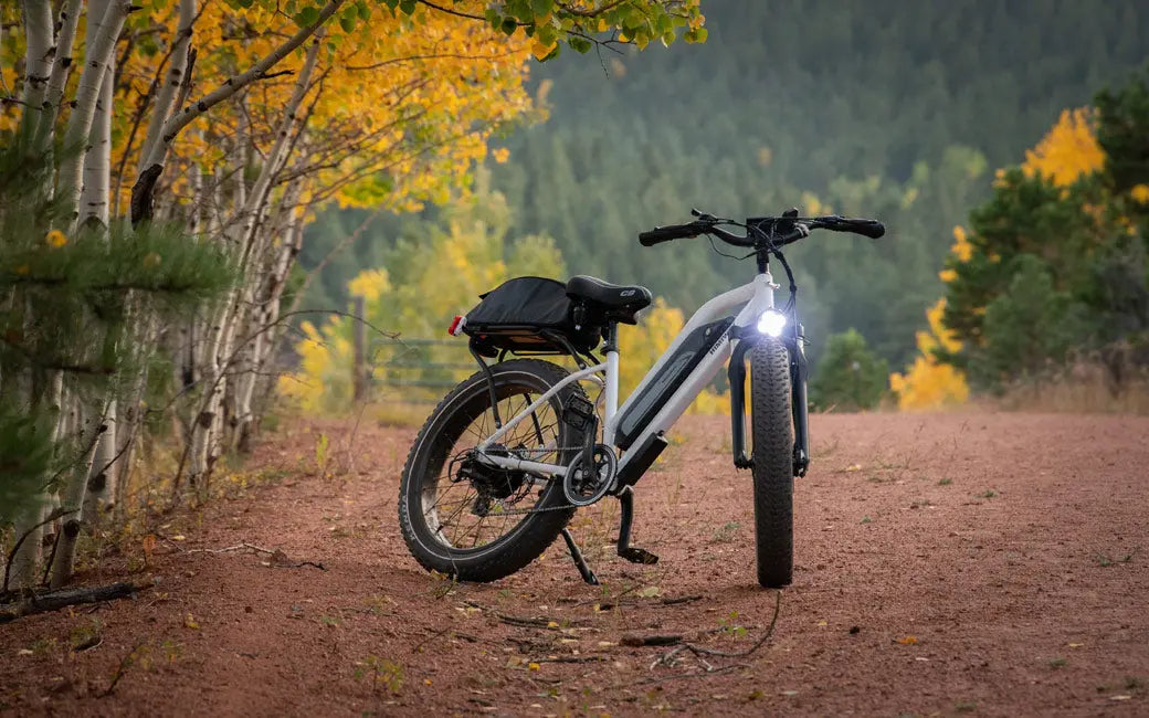 Electric Bikes Overheating: The Best Remedy for Protecting an Ebike Battery from Over-Heat HOVSCO