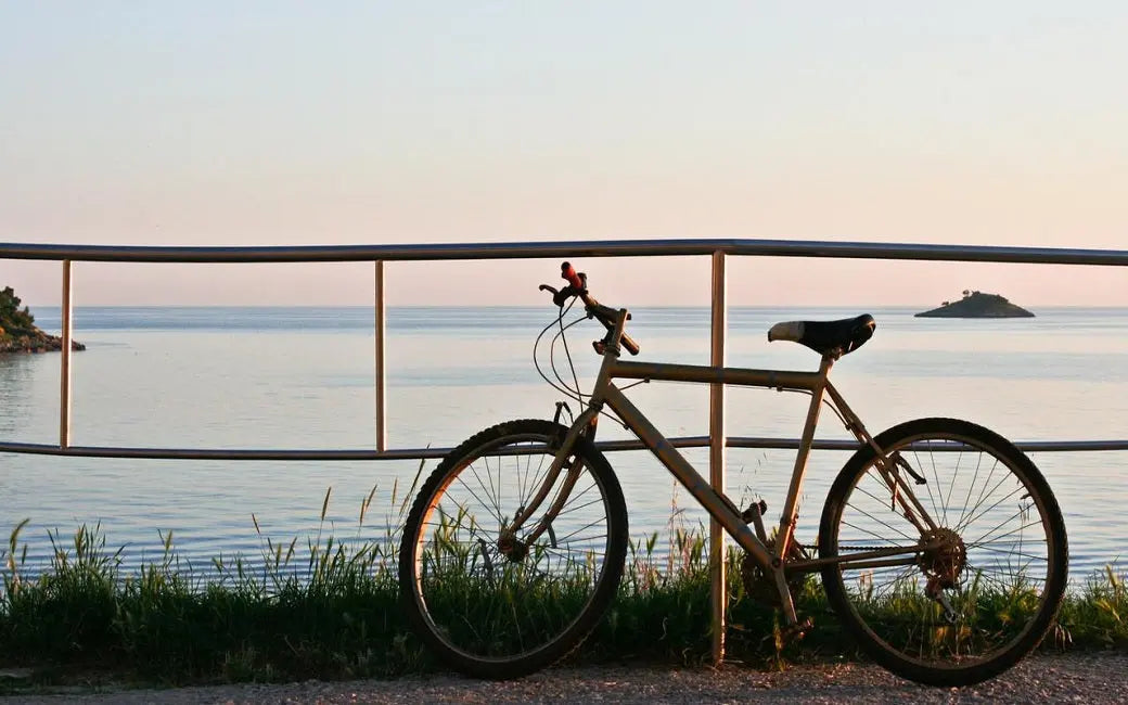 Electric Bikes vs. Regular Bikes: Whats The Real Difference? HOVSCO