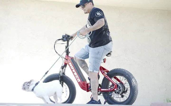 Electric bikes are the future of sustainable transportation HOVSCO