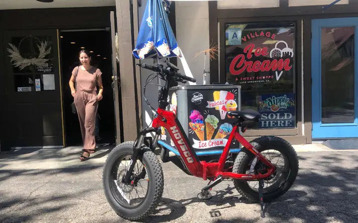 Environmental Influence of a Gas Bicycle vs. an E-Bike HOVSCO