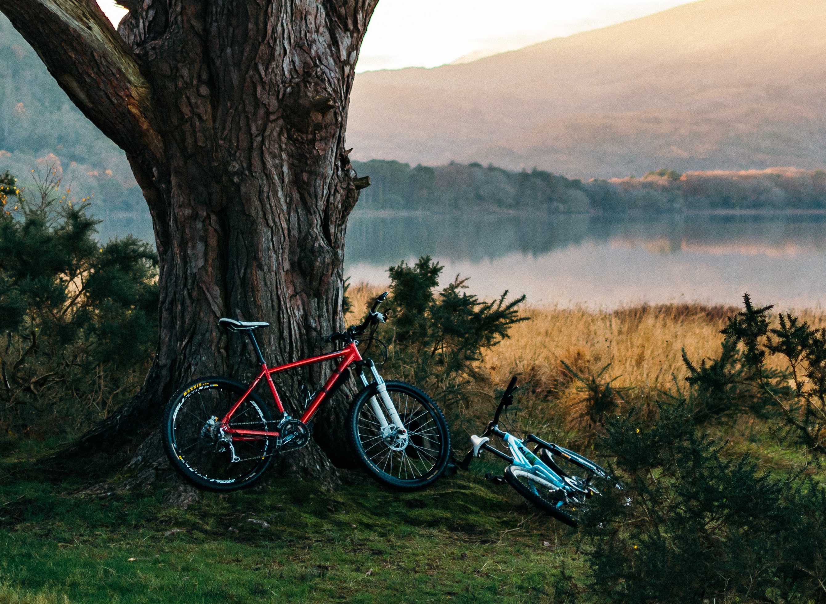 Goodies about HovBeta 20" Step-Thru Ebike to share HOVSCO