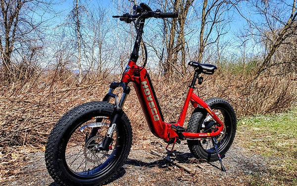 HOVSCO Electric Bikes vs. Pedego: Evaluating the Best Choice for Eco-Conscious Riders