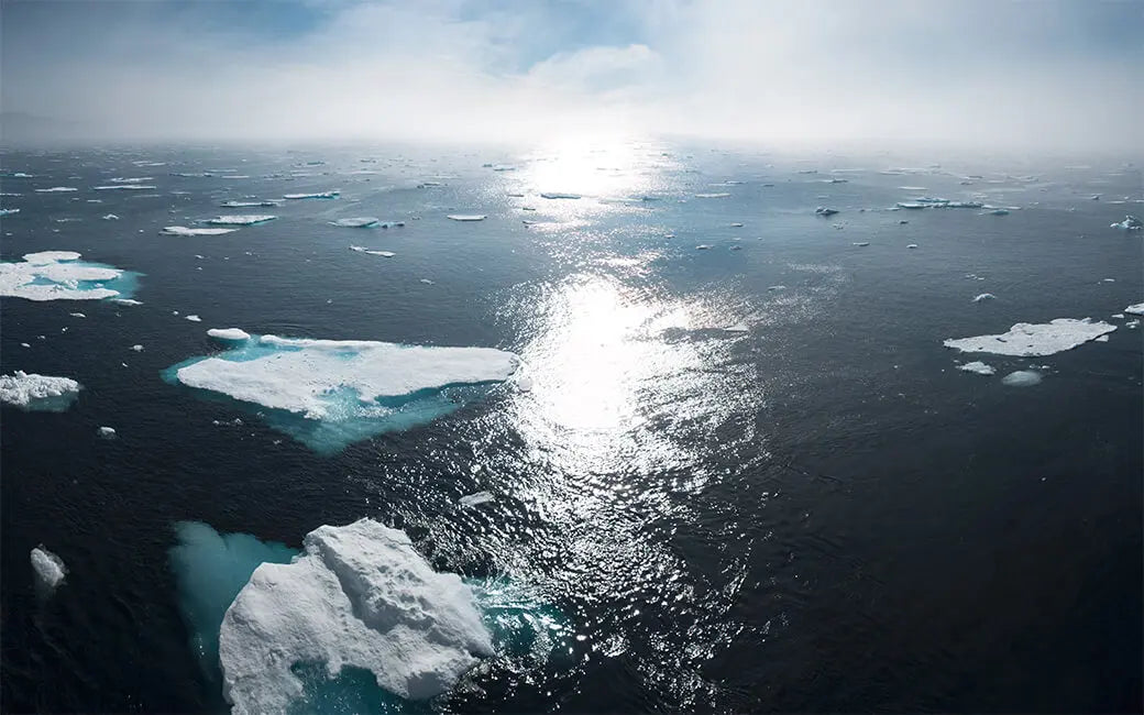 How E-bikes Can Help Change the Global Climate HOVSCO