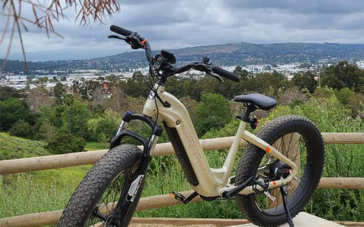 How Fast Do Electric Bikes Go?  HOVSCO