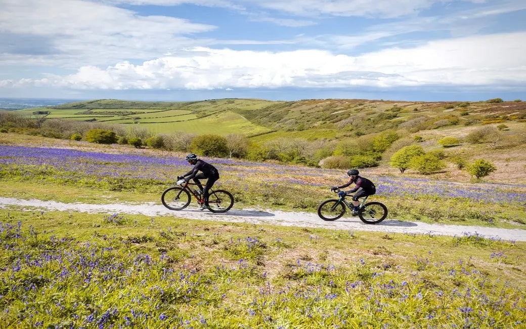 How Much Do Electric Bikes Cost? HOVSCO