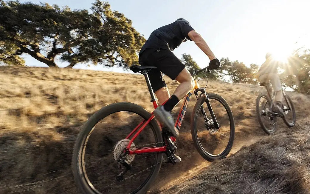 How to Choose a Motor for an Electric Bike? HOVSCO