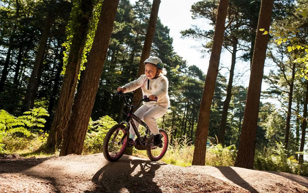 How to Choose the Most Suitable Saddle? HOVSCO