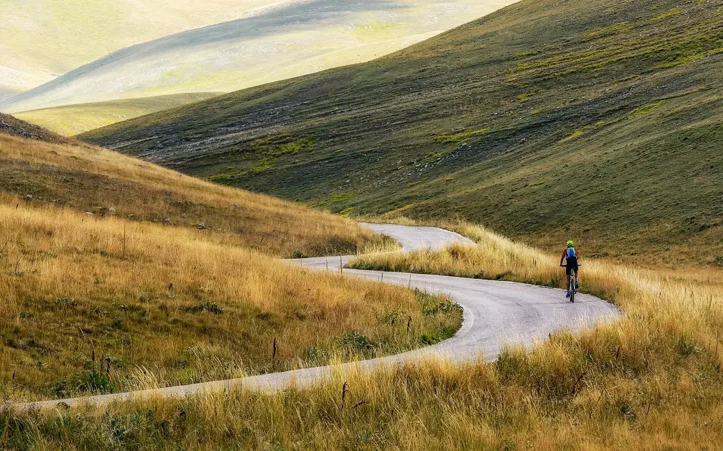 How to Remove and Replace an Electric Bike Controller? HOVSCO