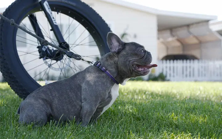 Let's Convert To Electric Bike! HOVSCO