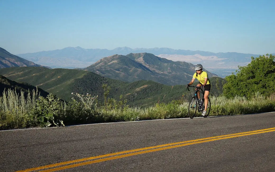 Ride An Electric Bike! How To Beat a Railroad Strike And Commute To Work in Style HOVSCO