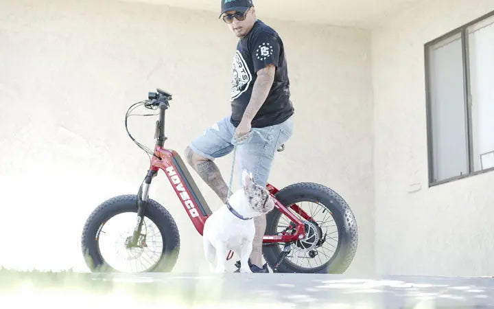 The Best Electric Cruiser Bikes: Reviews and Comparisons HOVSCO