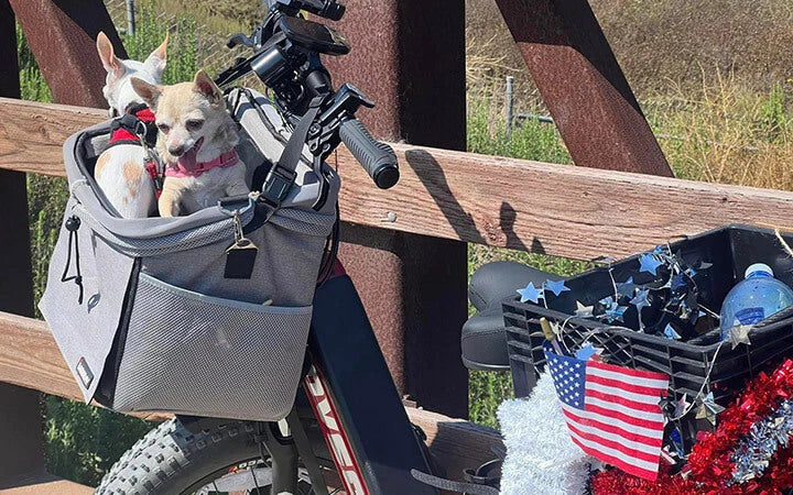 Hovsco-ebike-with-flurry-pets