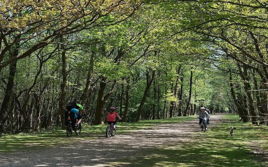 Want to ride more electric bikes? Here's how. HOVSCO