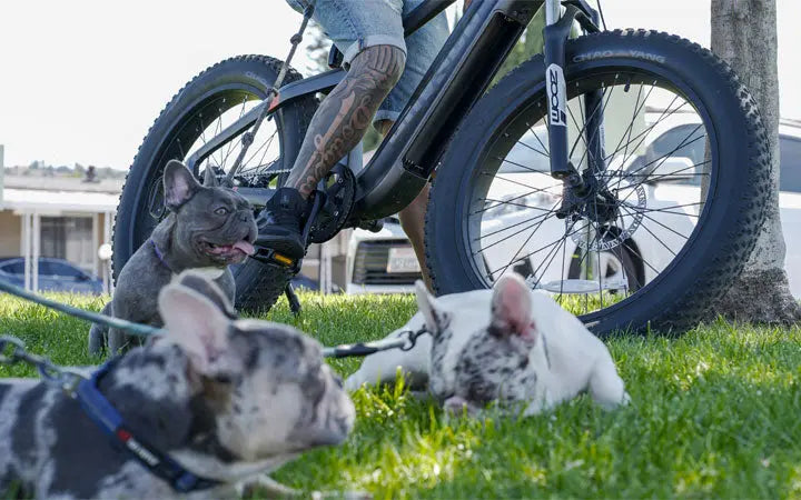 What Bike Size Do I Need: Which One Should You Consider in 2022 ? HOVSCO