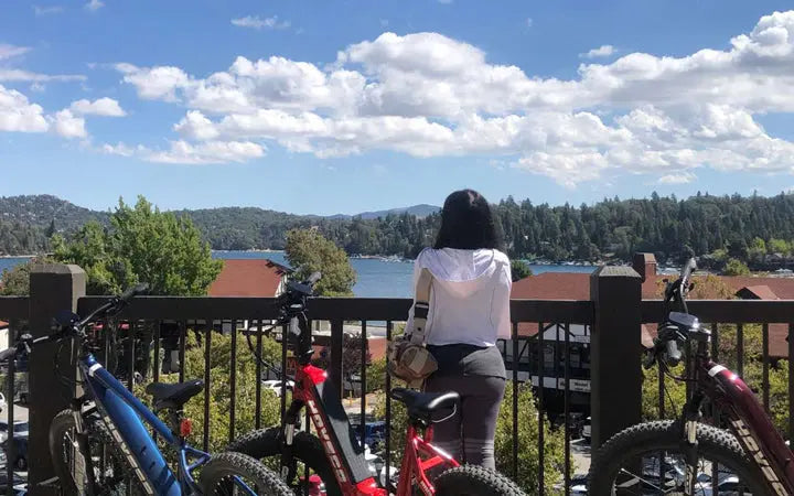 What Is An Electric Fat Tire Bike? HOVSCO