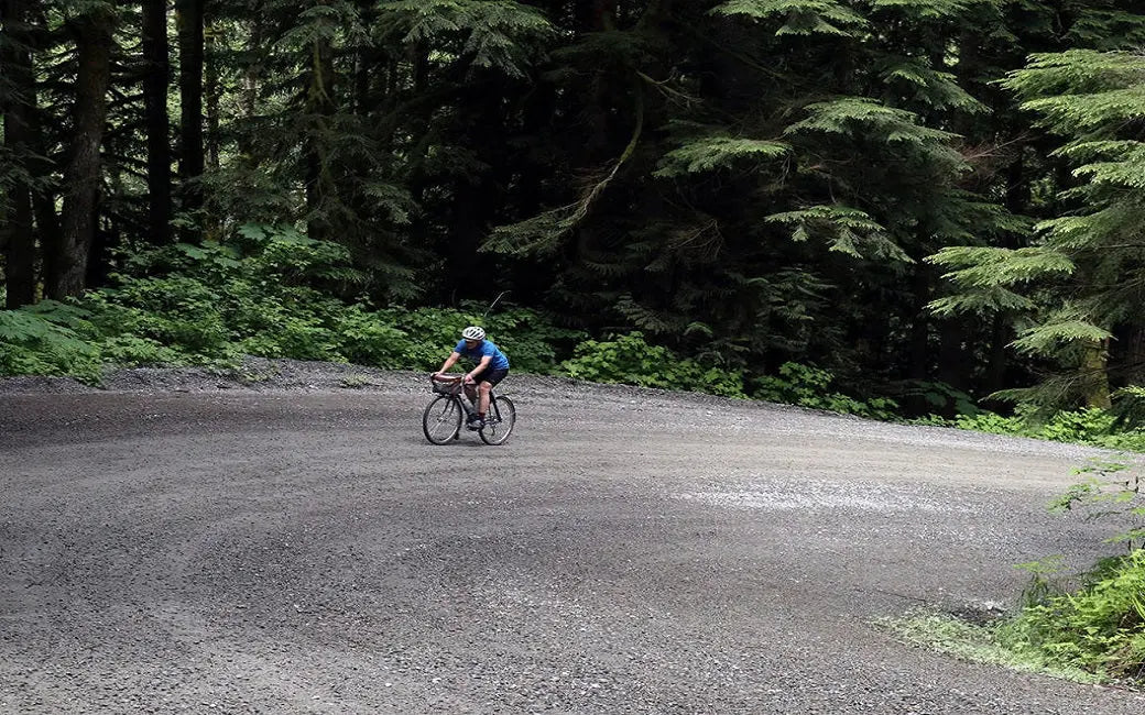 What is E-Bike Pedal Sensors? HOVSCO