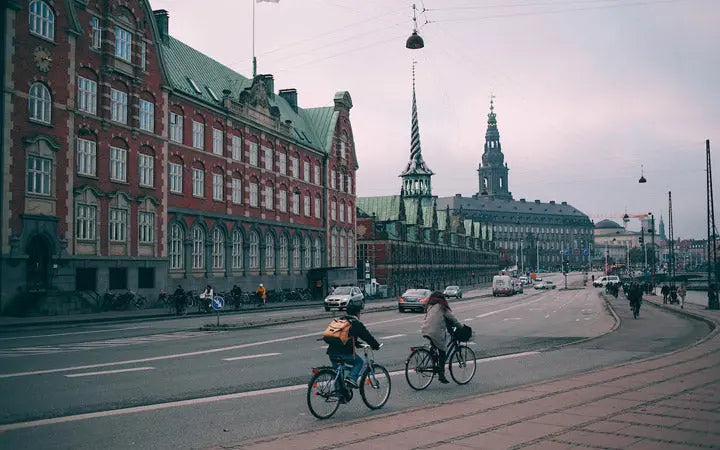 What's The Best Electric Bike For Heavy Adults? HOVSCO