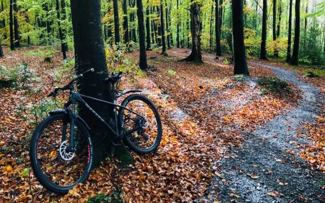 What to Look for When Choosing Electric Bike Tires HOVSCO