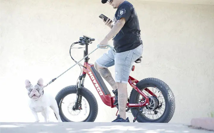 Which Electric Bike Company Should You Choose in 2022? HOVSCO