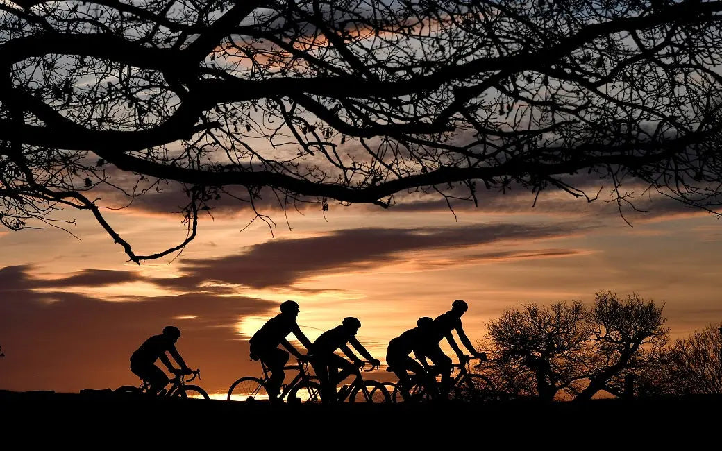 Will California Become The Second State to Implement an E-bike Rebate Policy After Denver is Confirmed? HOVSCO