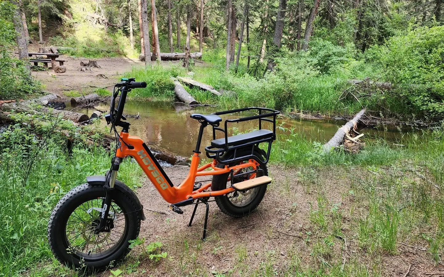 How Can Owners Maintain Fat Tire Ebike Batteries in Winter?