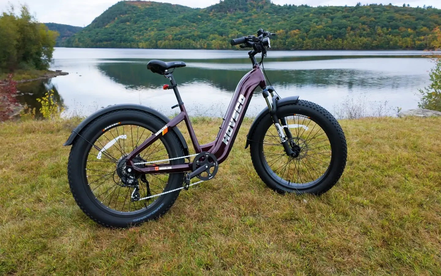 How to Choose the Best Charger for Electric Bicycles?  HOVSCO