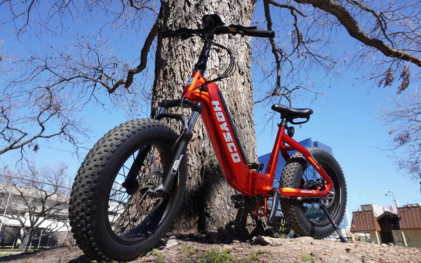 What Are The Best E-Bike Rentals For Tourists Near My Location?