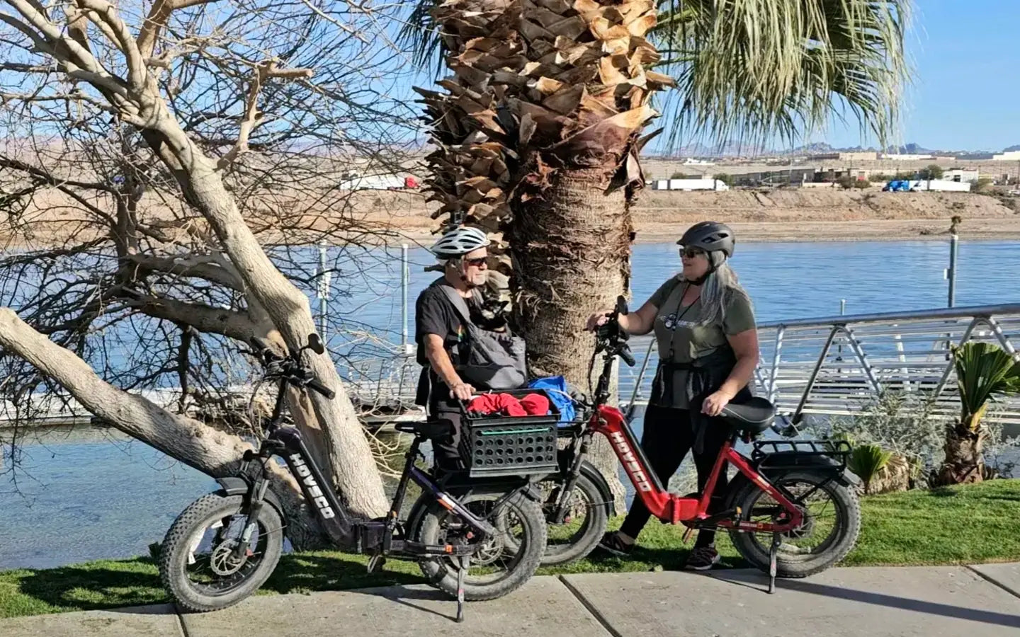 What Benefits Do Electric Cargo Bikes With Rear Basket Offer?