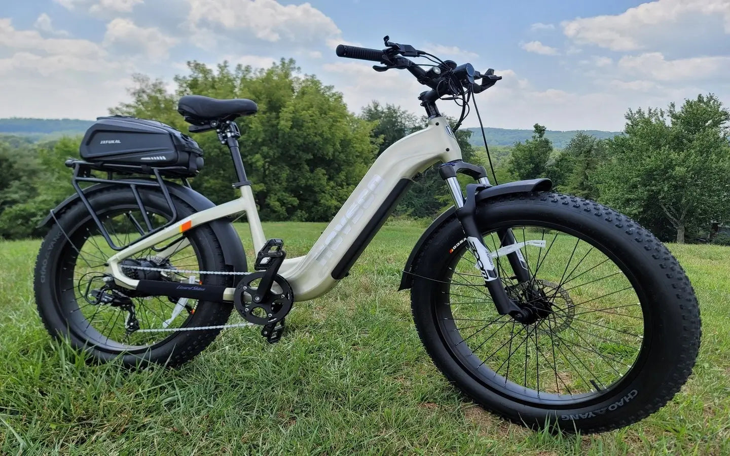 What Cargo eBike Specifications Ensure Optimal Heavy Load Performance?
