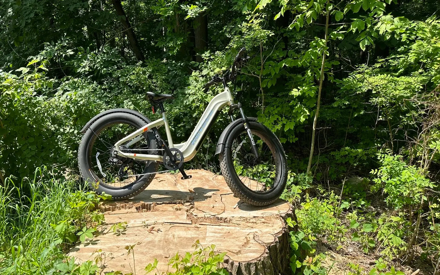 What Commuting Solutions Do Cargo E-Bikes Offer Urban Families