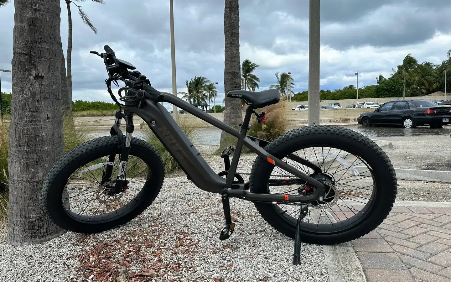 What Electric Cargo Bike Has Rear Passenger Seat?