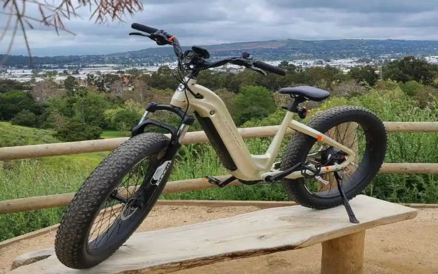 Which Electric Scooter Is the Fastest for Adults in 2025?