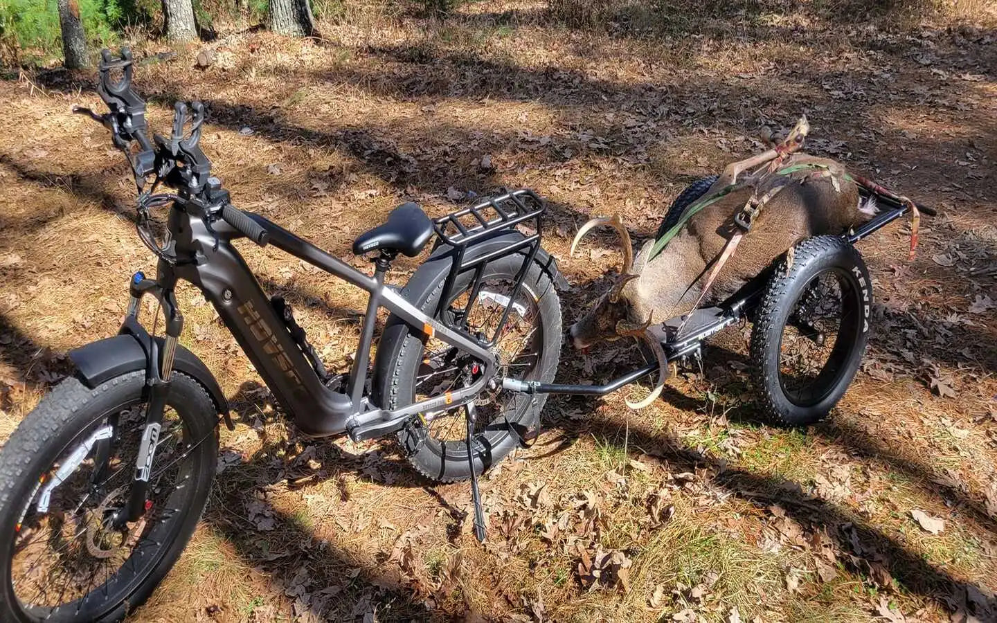 Which Is The Best Cargo Ebike For Heavy Loads And Daily Errands?