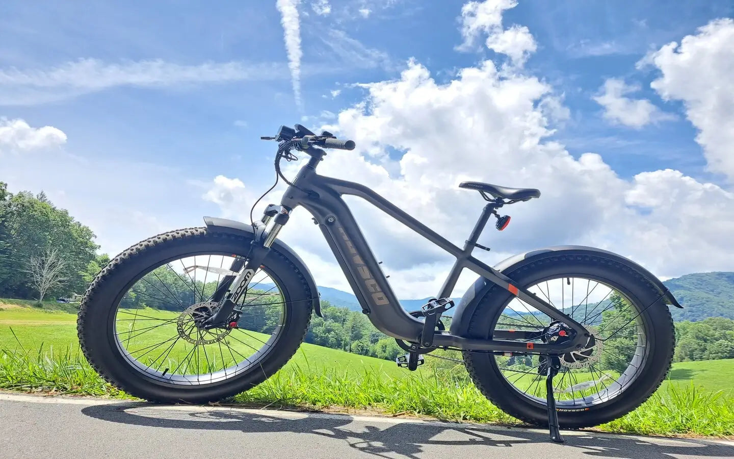Why Choose A Fat Tire Cargo E-Bike?