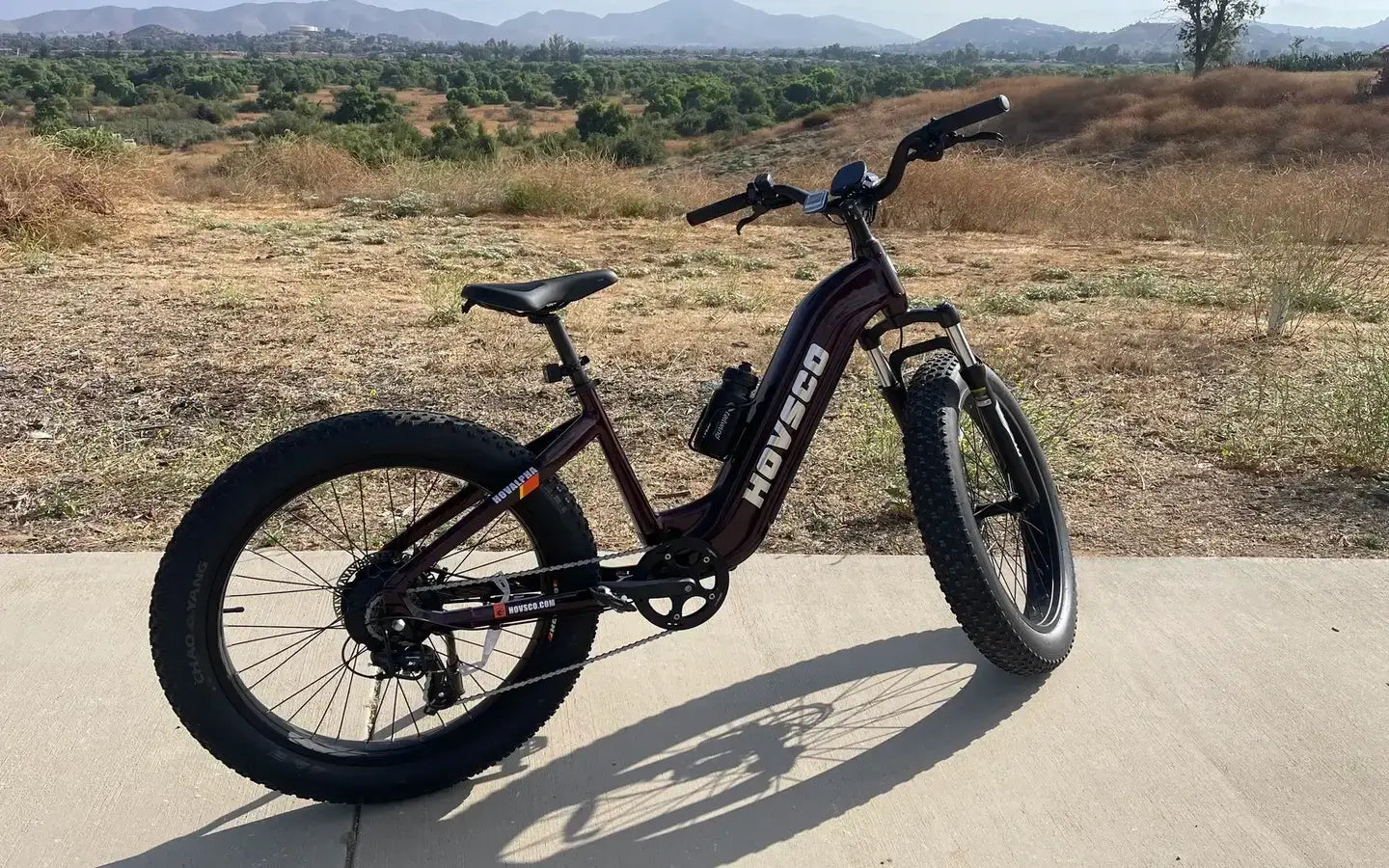 Why Choose an Adult Electric Bike in 2025?